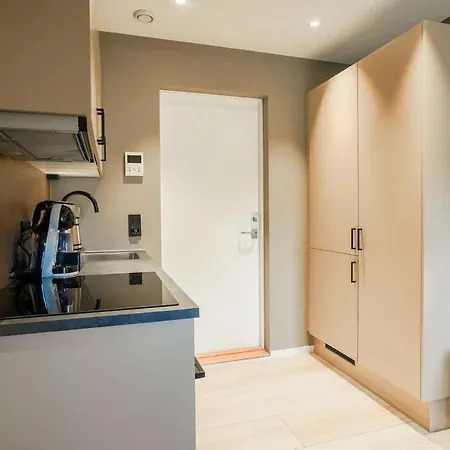 Modern Entire In Center 304 For 2 Guests * Gjøvik